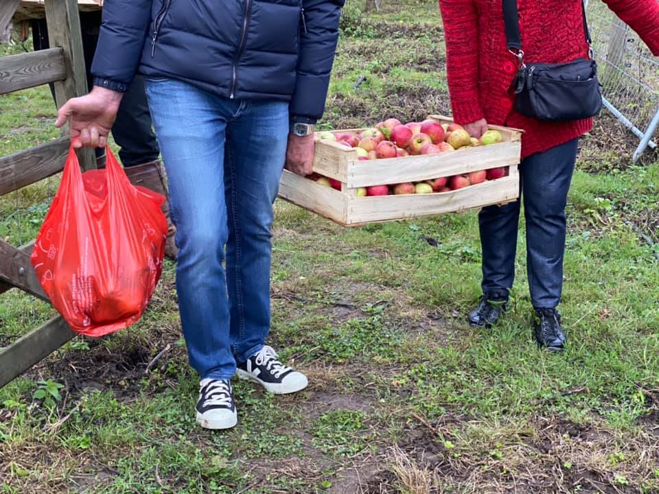 Pommes de Saint-Prix